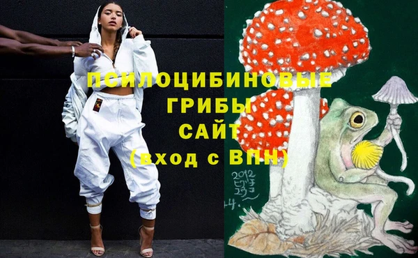 spice Елизово