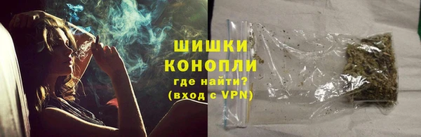 шишки Елабуга