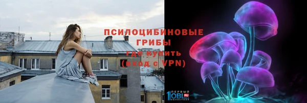 spice Елизово