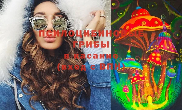 spice Елизово
