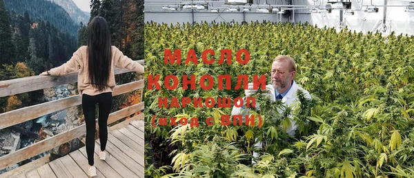 шишки Елабуга