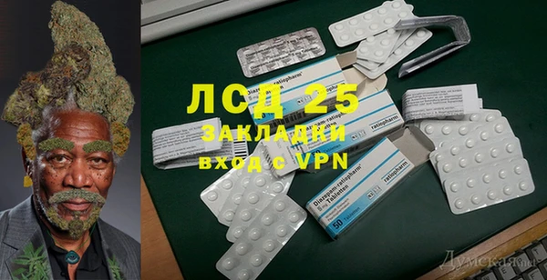 шишки Елабуга