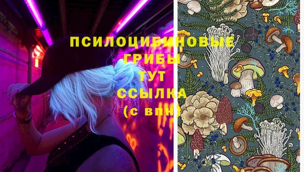 мяу мяу мука Ельня