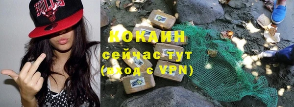 шишки Елабуга