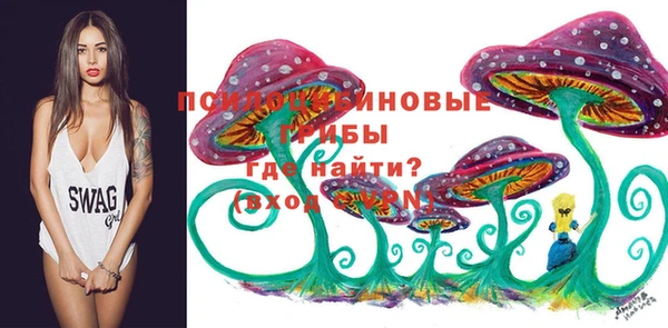 шишки Елабуга