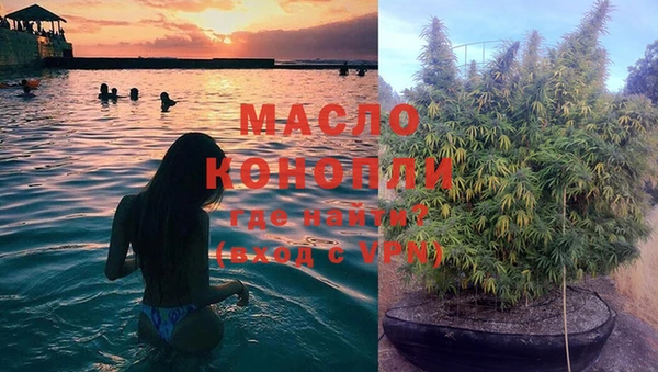 spice Елизово