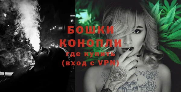 spice Елизово