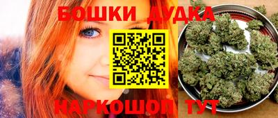 тгк Будённовск