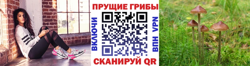 Галлюциногенные грибы мухоморы  Камышлов 