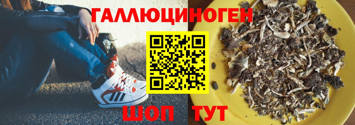 Псилоцибиновые грибы мухоморы Камышлов